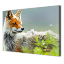 Load image into Gallery viewer, HD Printed 1 Piece Dog Canvas Painting Animal Canvas Prints Picture Large Frame Posters and Prints Free Shipping ny-6715D
