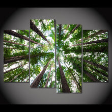 Load image into Gallery viewer, HD Printed 4 Piece Canvas Art Green Forest Painting Framed Tall Tree Wall Pictures for Living Room Modern Free Shipping NY-6998D
