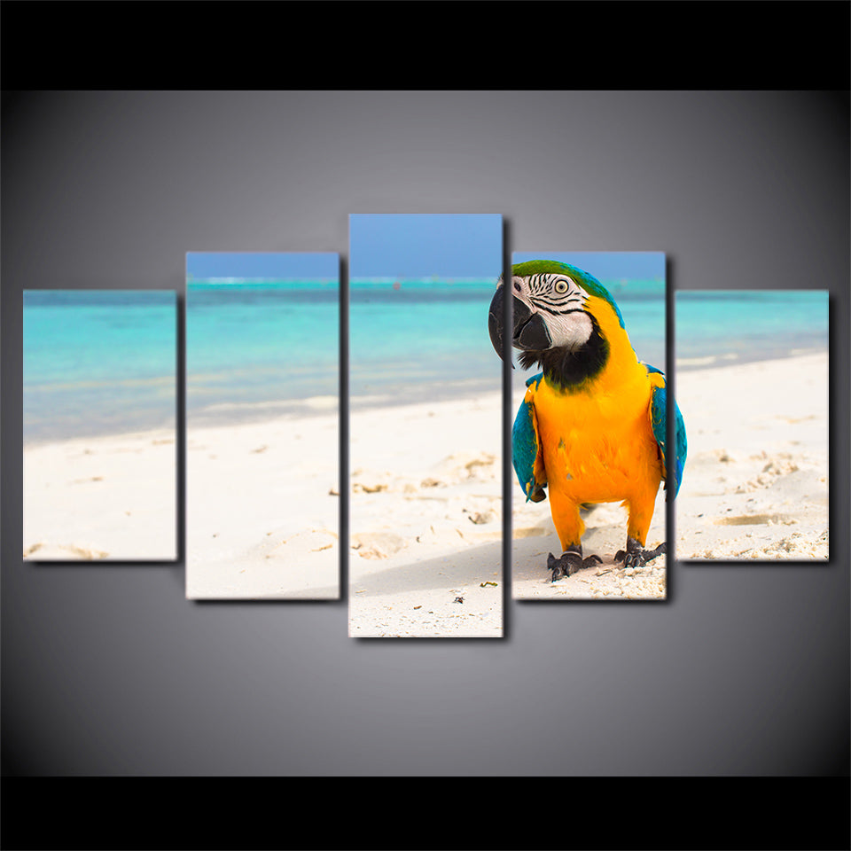 HD Printed 5 Piece Canvas Art Resting Bird Painting Beach Color Feather Wall Pictures for Living Room Free Shipping CU-1944B