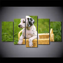 Load image into Gallery viewer, HD Printed 5 Piece Canvas Art Cute Pet Dalmatian Painting Canidae Poster Wall Pictures for Living Room Free Shipping NY-6965A
