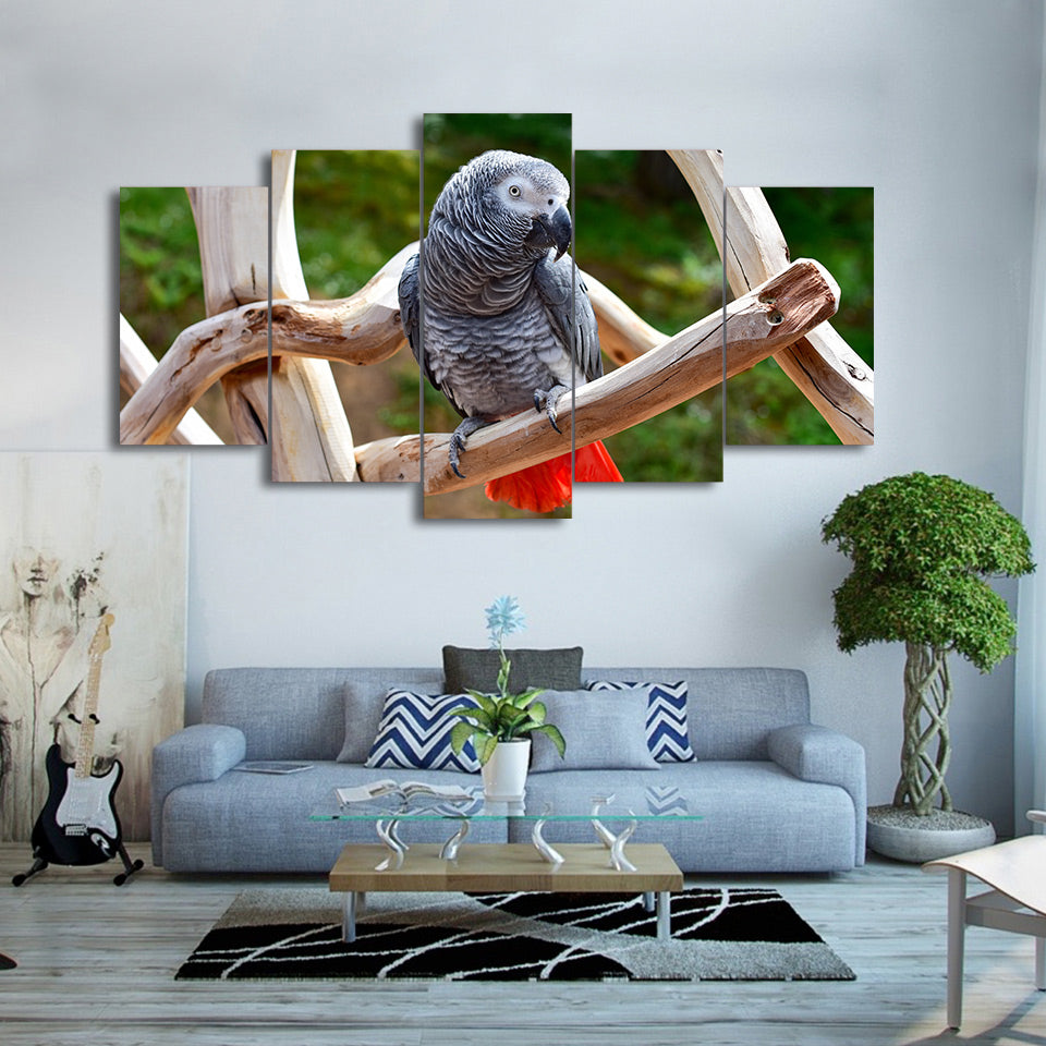 HD printed 5 piece canvas art Animals Parrot Art painting wall pictures for living room modern free shipping/CU-2002C