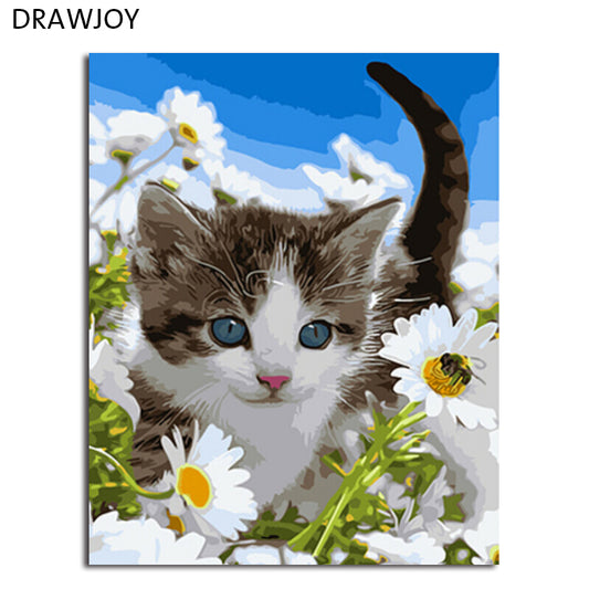 DRAWJOY Framed DIY Picture DIY Painting By Numbers Cat Picture Painting & Calligraphy Wall Art GX3219 40*50cm