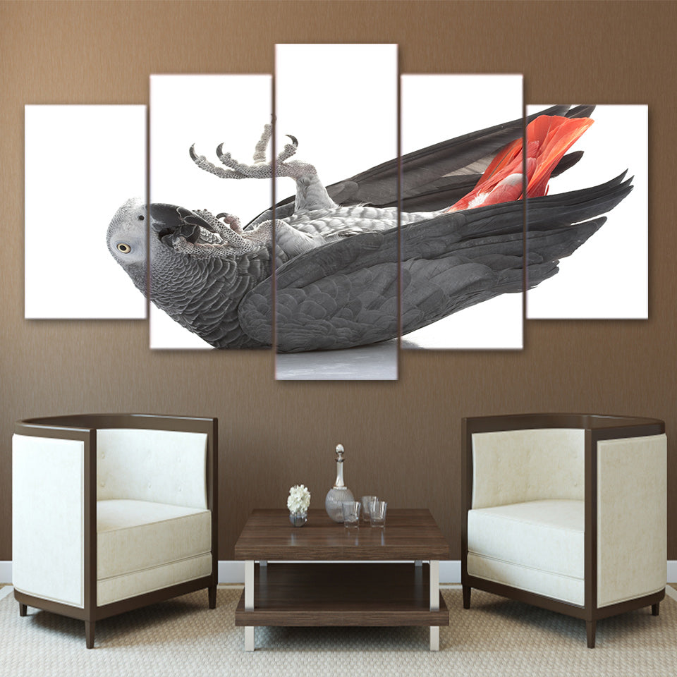 wall art gray parrot canvas painting 5 piece HD print Bird claw paw posters and prints canvas art home decor CU-2173C