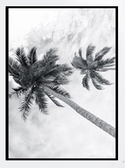Seascape Coconut Trees Art Print Wall Art Canvas Painting Poster Wall Pictures For Living Room Nordic Poster Cuadros Unframed