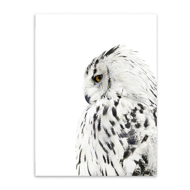 Posters And Prints Wall Art Canvas Painting Wall Pictures For Living Room Nordic Owl