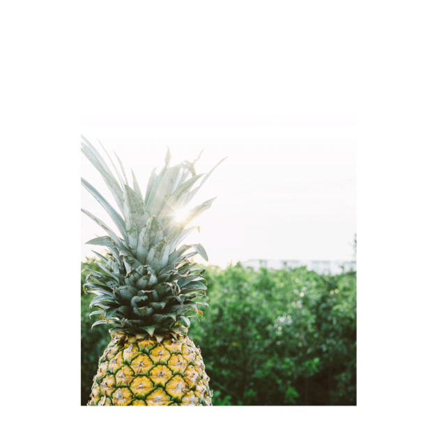 Pineapple Landscape Painting Posters And Prints Home Decoration Nordic Poster Wall Pictures For Living Room Wall Art Unframed