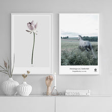 Load image into Gallery viewer, Nordic Poster Horse Posters And Prints Lotus Wall Pictures For Living Room Landscape Girl Wall Art Canvas Painting Unframed
