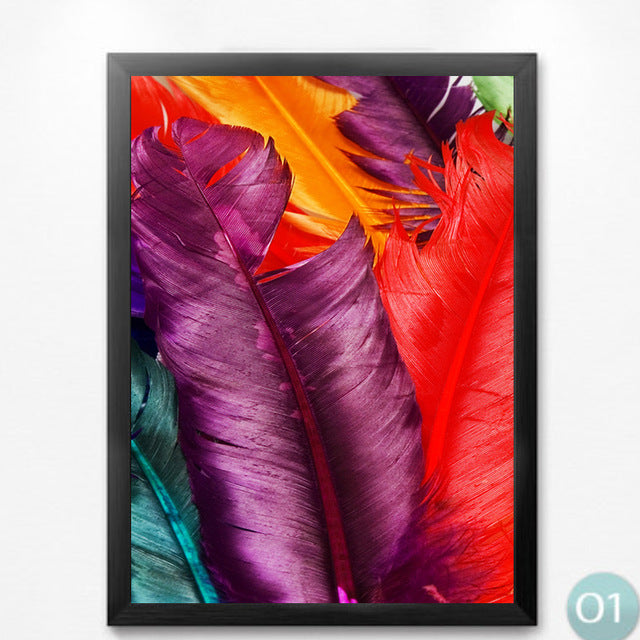 Colorful Feather Home Pictures Art Canvas Print, Modern Fashion Canvas Wall Picture Print Poster For Home Wall Decor HD2296