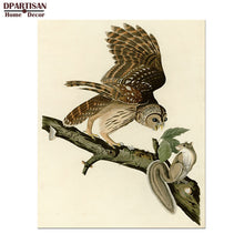 Load image into Gallery viewer, DPARTISAN Canvas Art Print Painting Poster for wall painting art pictures decor Plate wild john james audubon No Frame 25-49
