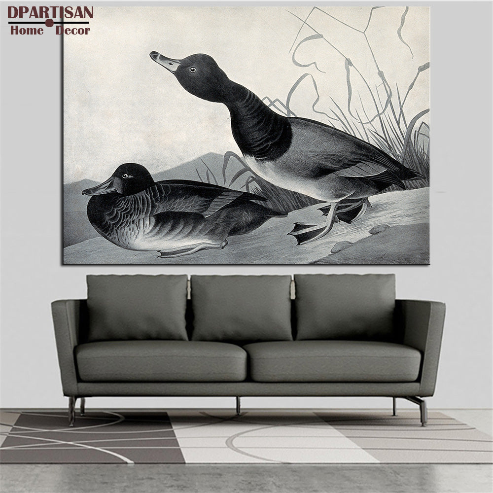 DPARTISAN  John James Audubon Two birds animal wall Art Canvas Prints No frame wall painting for home living rooms pictures