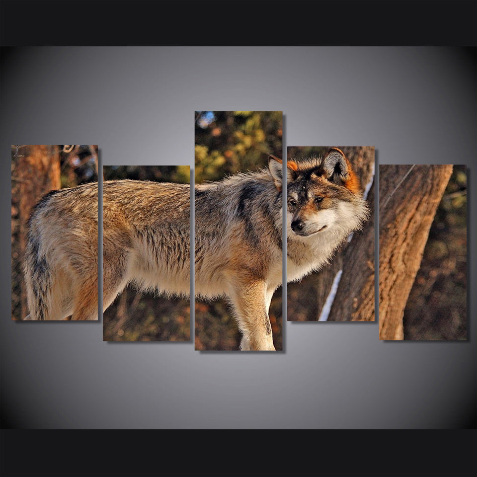 HD Printed 5 Piece Canvas Art Brown Wild Wolf  Painting Framed Wall Pictures for Living Room Decoration Free Shipping NY-7105A