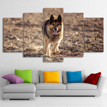 Load image into Gallery viewer, HD printed 5 Piece Canvas Art Wild Wolf Painting Wall Pictures for living room Modern Modular Free Shipping CU-2107C

