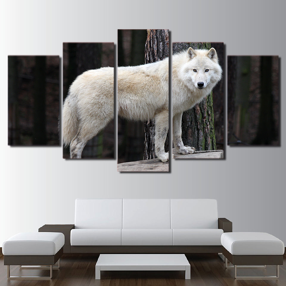 HD printed 5 piece canvas art white forest wolf staring painting wall pictures for living room modern free shipping CU-2020A