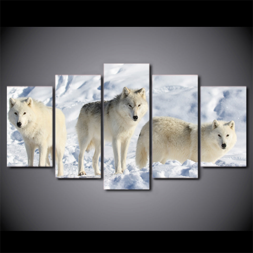 HD printed 5 piece canvas art white wolves in snow painting wall pictures for living room modern free shipping CU-2018C