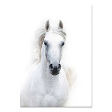 Load image into Gallery viewer, Animal White Horse Wall Art Canvas Posters and Prints Painting Wall Pictures for Living Room Modern Home Decor
