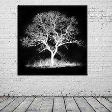 Load image into Gallery viewer, black white tree decorations modular pictures spray painting on the wall modern paintings prints posters canvas pictures HD2050
