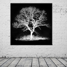 Load image into Gallery viewer, black white tree decorations modular pictures spray painting on the wall modern paintings prints posters canvas pictures HD2050
