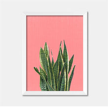 Load image into Gallery viewer, Green Plant Cactus Canvas Art Print Poster Still Life Wall Picture Canvas Painting Home Decor FG0031
