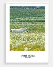 Load image into Gallery viewer, Posters And Prints Nordic Style Poster Horse Landscape Wall Pictures For Living Room Love Live Poster Canvas Painting Unframed
