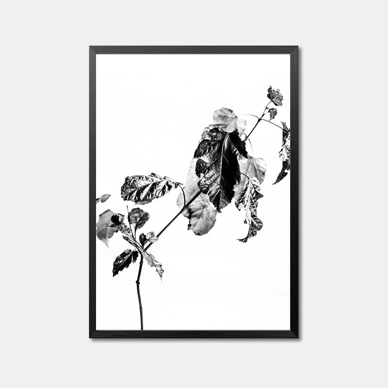Posters And Prints Wall Art Canvas Painting Wall Pictures For Living Room Black Butterfly Nordic Canvas Prints Poster Unframed