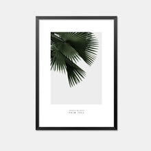 Load image into Gallery viewer, Nordic Style Poster Cactus Posters And Prints Wall Pictures For Living Room Cuadros Canvas Art Wall Art Canvas Painting Unframed
