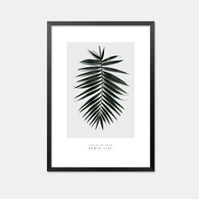 Load image into Gallery viewer, Nordic Style Poster Cactus Posters And Prints Wall Pictures For Living Room Cuadros Canvas Art Wall Art Canvas Painting Unframed
