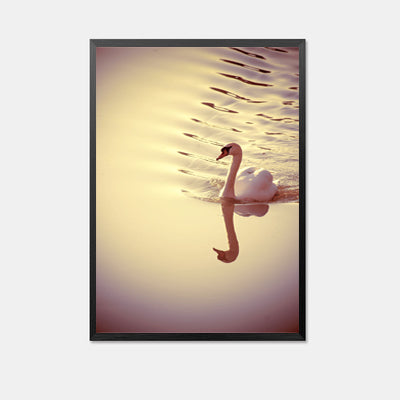 Posters And Prints Nordic Poster Love Canvas Art Wall Pictures For Living Room Swan Poster Wall Art Canvas Painting Unframed