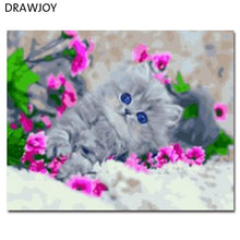 Load image into Gallery viewer, DRAWJOY Framed DIY Oil Painting By Numbers Lovely Cats Painting &amp; Calligraphy Home Decor For Living Room GX5985 40*50cm
