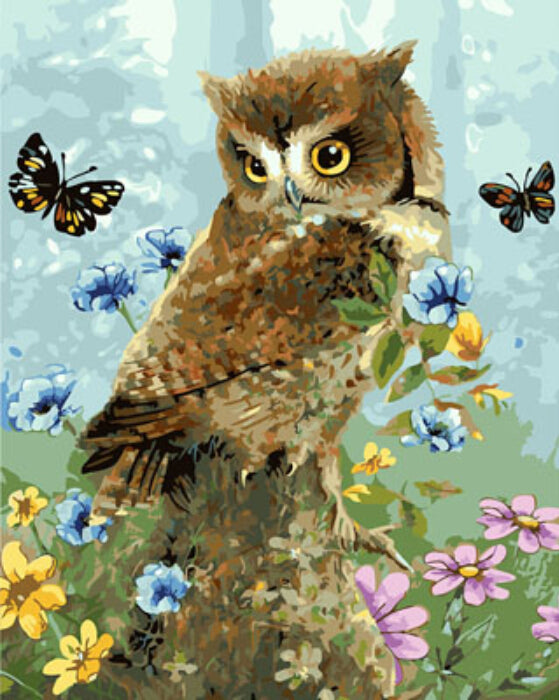 DRAWJOY Framed Oil Paint DIY Painting By Numbers Coloring By Numbers Animal Owl and Butterfly Home Decoration 40*50cm