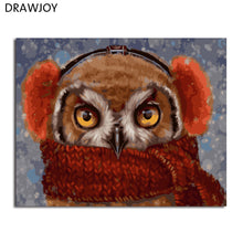 Load image into Gallery viewer, DRAWJOY Framed DIY Oil Paint DIY Painting By Numbers Coloring By Numbers Animals Owl Home Decoration
