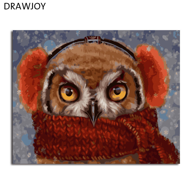 DRAWJOY Framed DIY Oil Paint DIY Painting By Numbers Coloring By Numbers Animals Owl Home Decoration