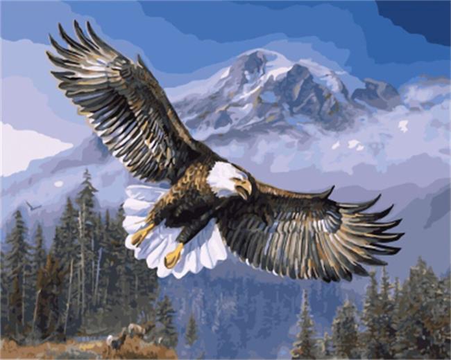 DRAWJOY Framed Picture Eagle Painting & Calligraphy  DIY Painting By Numbers On Canvas Coloring By Numbers