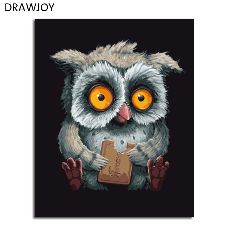 DRAWJOY Framed DIY Oil Paint DIY Painting By Numbers Coloring By Numbers Animals Owl Home Decoration