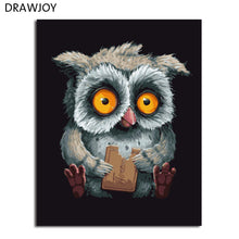 Load image into Gallery viewer, DRAWJOY Framed DIY Oil Paint DIY Painting By Numbers Coloring By Numbers Animals Owl Home Decoration
