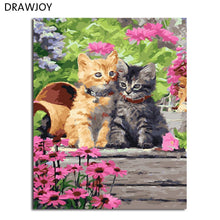 Load image into Gallery viewer, DRAWJOY Framed Oil Paint DIY Painting By Numbers Coloring By Numbers Bird and Flower Home Decoration 40*50cm
