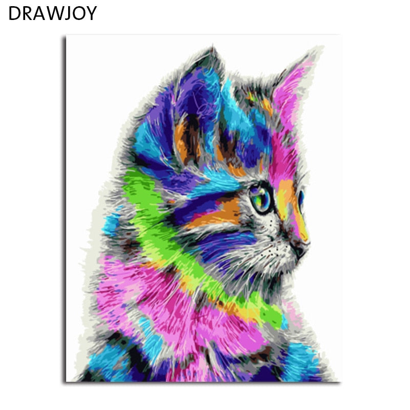 DRAWJOY Framed Picture Painting & Calligraphy Of Loely Cat DIY Painting By Numbers Coloring By Numbers
