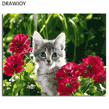 Load image into Gallery viewer, DRAWJOY Framed Pictures Painting &amp; Calligraphy Animals Cat DIY Painting By Numbers On Canvas Oil Painting Home Decor
