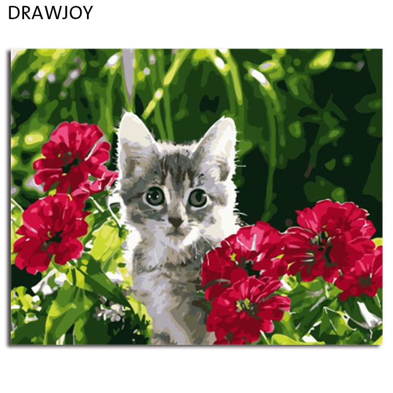 DRAWJOY Framed Pictures Painting & Calligraphy Animals Cat DIY Painting By Numbers On Canvas Oil Painting Home Decor