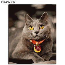 Load image into Gallery viewer, DRAWJOY Framed Animal Cat DIY Painting By Numbers On Canvas Painting And Calligraphy Wall Art For Home Decor 40x50
