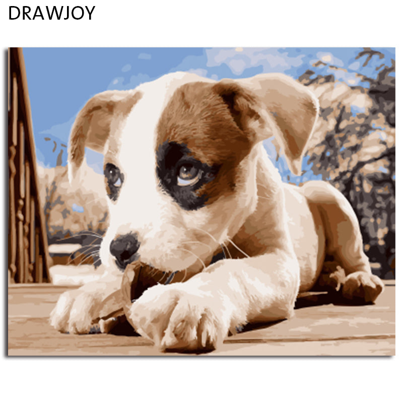 DRAWJOY Framed Animal Dog DIY Painting By Numbers On Canvas Painting And Calligraphy Wall Art For Home Decor 40x50