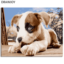 Load image into Gallery viewer, DRAWJOY Framed Animal Dog DIY Painting By Numbers On Canvas Painting And Calligraphy Wall Art For Home Decor 40x50
