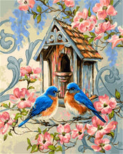 Load image into Gallery viewer, DRAWJOY Framed Oil Paint DIY Painting By Numbers Coloring By Numbers Bird and Flower Home Decoration 40*50cm
