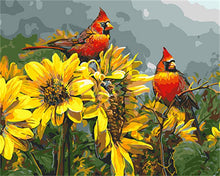 Load image into Gallery viewer, DRAWJOY Framed Oil Paint DIY Painting By Numbers Of Bird Coloring By Numbers Home Decoration For Living Room Wall Art
