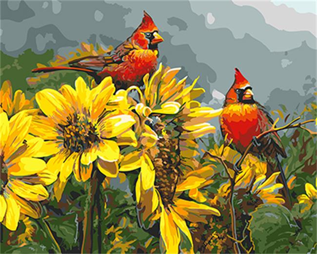 DRAWJOY Framed Oil Paint DIY Painting By Numbers Of Bird Coloring By Numbers Home Decoration For Living Room Wall Art