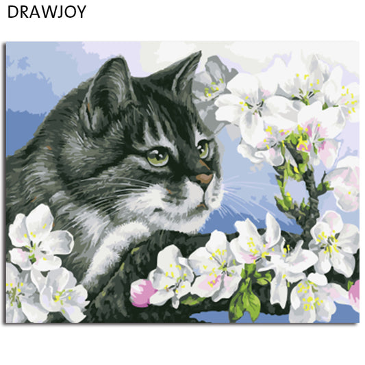 DRAWJOY Framed Picture Painting & Calligraphy Of Loely Animals Cat DIY Painting By Numbers Coloring By Numbers Home Decor