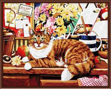 Load image into Gallery viewer, DRAWJOY Framed DIY Digital Oil Painting By Numbers On Canvas Of Cat Unique Handwork Gifts Wall Art 40*50cm
