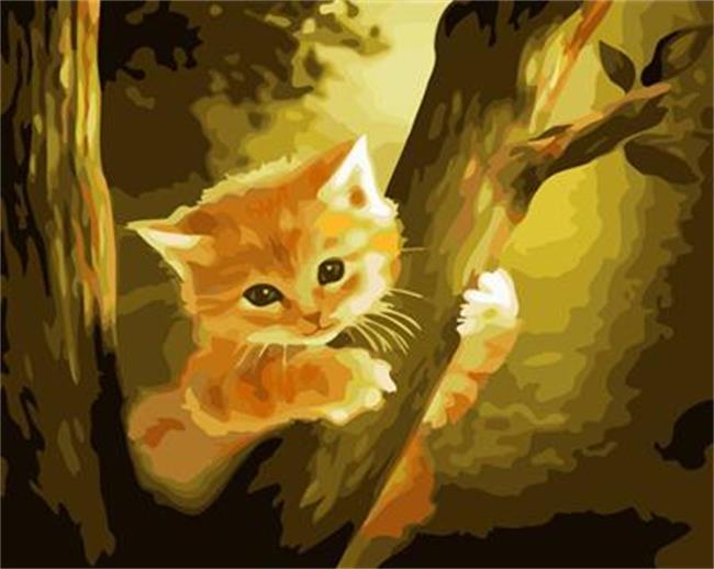 DRAWJOY Cat Framed DIY Oil Paint DIY Painting By Numbers On Canvas Coloring By Numbers For Home Decor