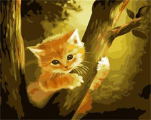 Load image into Gallery viewer, DRAWJOY Cat Framed DIY Oil Paint DIY Painting By Numbers On Canvas Coloring By Numbers For Home Decor
