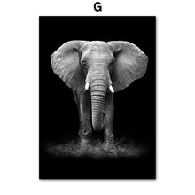 Load image into Gallery viewer, Black White Elephant Giraffe Zebra Wall Art Canvas Painting Nordic Posters And Prints Wall
