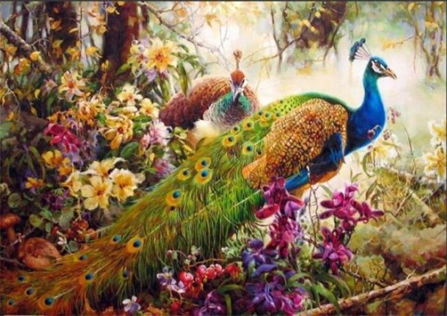 DRAWJOY Peacock Framed DIY Oil Paint DIY Painting By Numbers On Canvas Coloring By Numbers For Home Decor